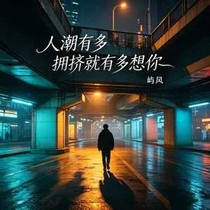 人潮有多拥挤就有多想你 （DJ版）