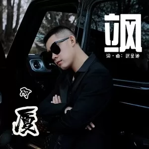 飒(DJ默涵版)