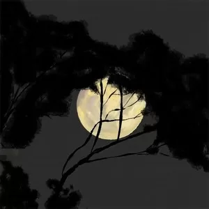 孤独感(抖音原唱)