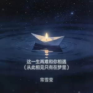 这一生再难和你相遇 (从此相见只有在梦里)