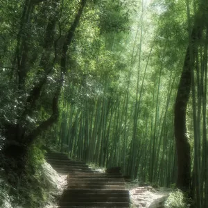 天龙八音（滋肾曲）
