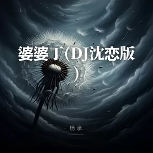 婆婆丁(DJ沈恋版)