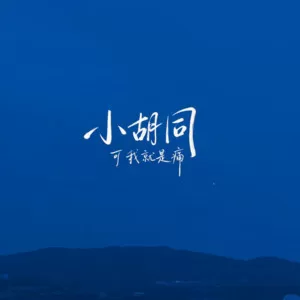 小胡同(可我还是痛)