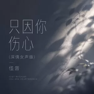 只因你伤心(深情女声版)
