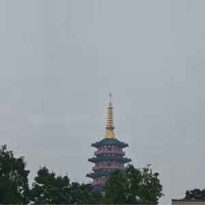 懂我
