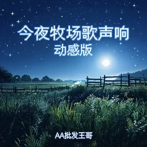 今夜牧场歌声响(动感版)
