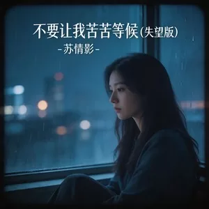 不要让我苦苦的等候（失望版）