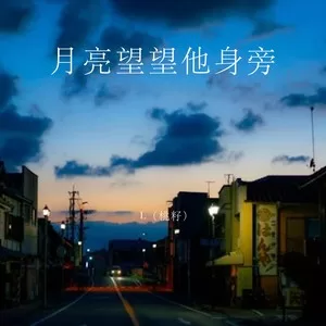 月亮替我望故乡