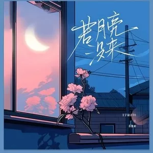 若月亮没来(DJ阿卓版)