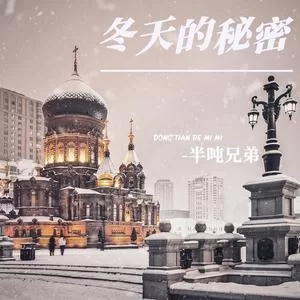 冬天的秘密(DJ默涵版)