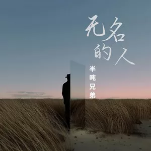 无名的人(DJ版)