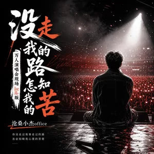 没走我的路怎知我的苦(万人演唱会现场live版)