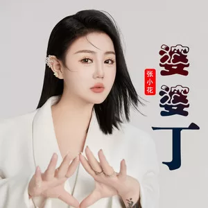 婆婆丁(DJ版)