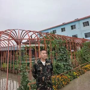 你往南走 (风往北刮)（改编版）