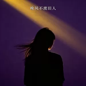 晚风不渡旧人