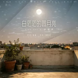 白茫茫的圆月亮