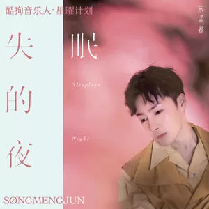 失眠的夜(DJ版)