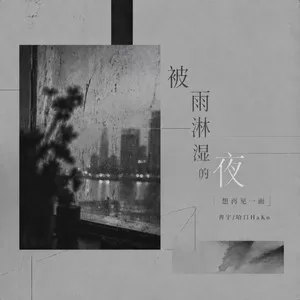 被雨淋湿的夜 (想再见一面)