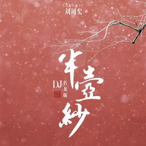 半壶纱(DJ名龙版)