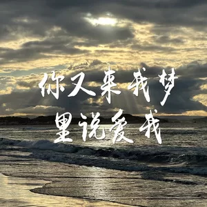 你又来我梦里说爱我
