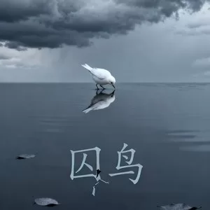 囚鸟