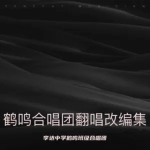 我们都是追梦人 (2019 中央广播电视总台春节联欢晚会现场) (李达中学鹤鸣班级合唱团 remix)
