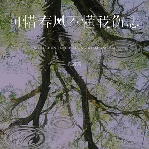 可惜春风不懂我伤悲(DJEva版)