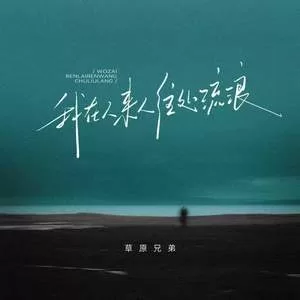 我在人来人往处流浪(DJ阿本版)