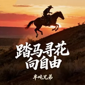 踏马寻花向自由