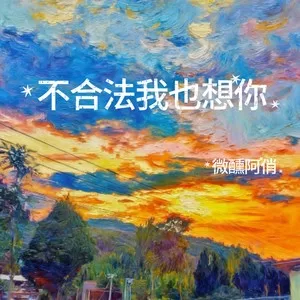 不合法我也想你（韵味DJ女声）