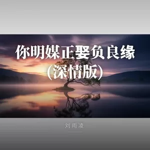 你明媒正娶负良缘(深情版)