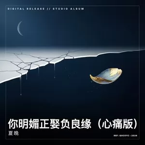 你明媒正娶负良缘（心痛版）