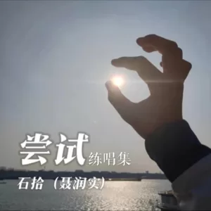 顽固 (cover: 刘闯)