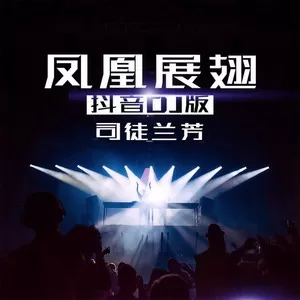 凤凰展翅(DJ小黑版)