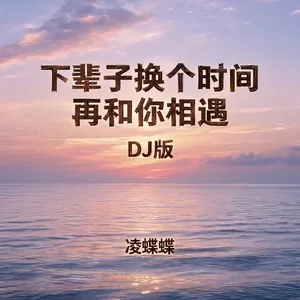 下辈子换个时间再和你相遇(DJ版)