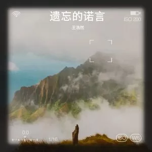 遗忘的诺言