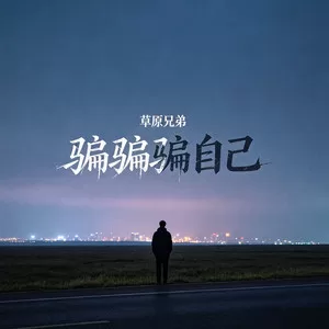 骗骗骗自己