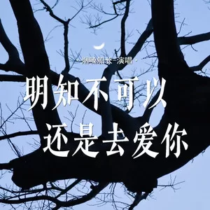 明知不可以还是去爱你(权衡利弊版)