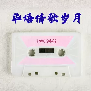 爱与痛的边缘