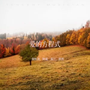你是我的格桑花