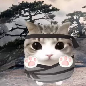 学功夫 练武术(热梗版)