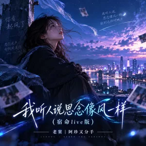 我听人说思念像风一样(宿命live版)