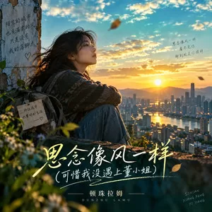思念像风一样(可惜我没遇上董小姐)