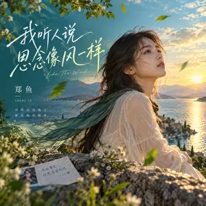 我听人说思念像风一样