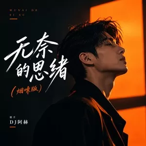 无奈的思绪(微醺版)