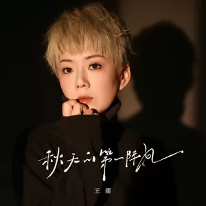 秋天的第一阵风(孤单的我孤单的秋)