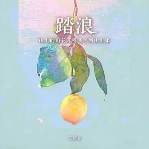 踏浪（山上的山花开呀我才到山上来）