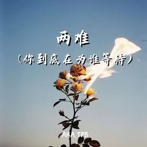 两 难(你到底在为谁等待)