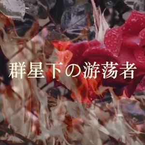 群星下的游荡者