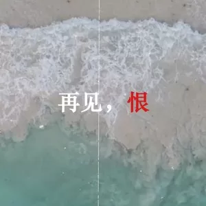 再见了，我以恨意为燃料的人生...